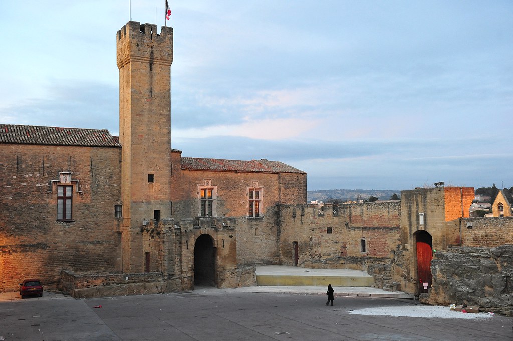 N°1 Visite Guidée Salon de Provence (2h)  Guides de France  Le