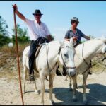 Visiter Aigues Mortes, Visiter la Camargue