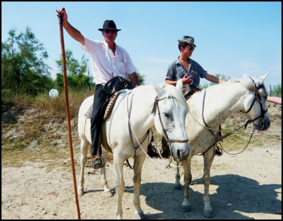 Visiter Aigues Mortes, Visiter la Camargue