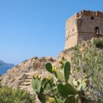 Visiter Corse, Guide Corse, Guide Porto, Visiter Porto