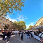 Visiter Aix-en-Provence à pied, Cours Mirabeau, Aix en Provence, Visiter Aix en Provence, Visite Guidée Aix en Provence