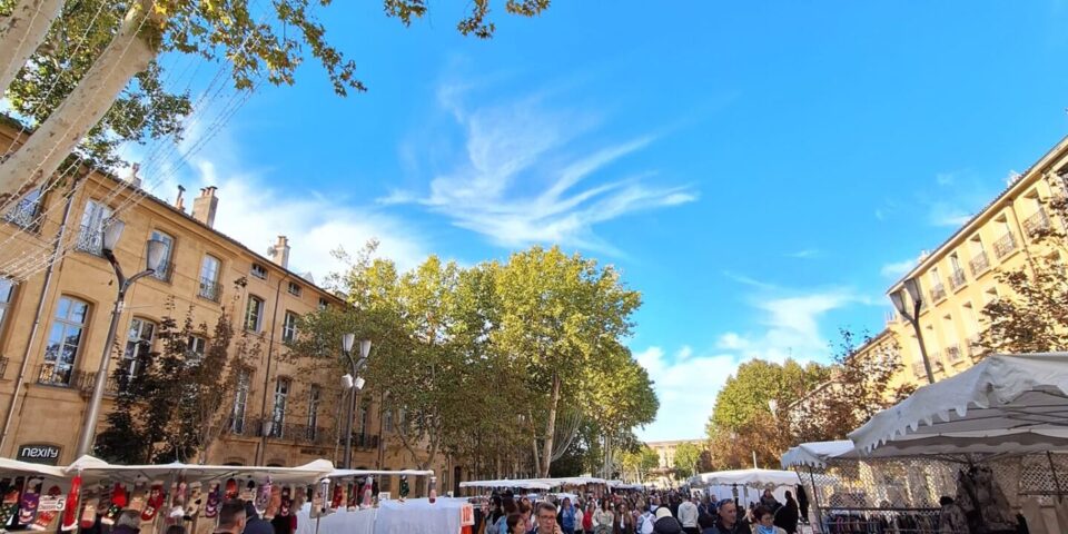 Visiter Aix-en-Provence à pied, Cours Mirabeau, Aix en Provence, Visiter Aix en Provence, Visite Guidée Aix en Provence