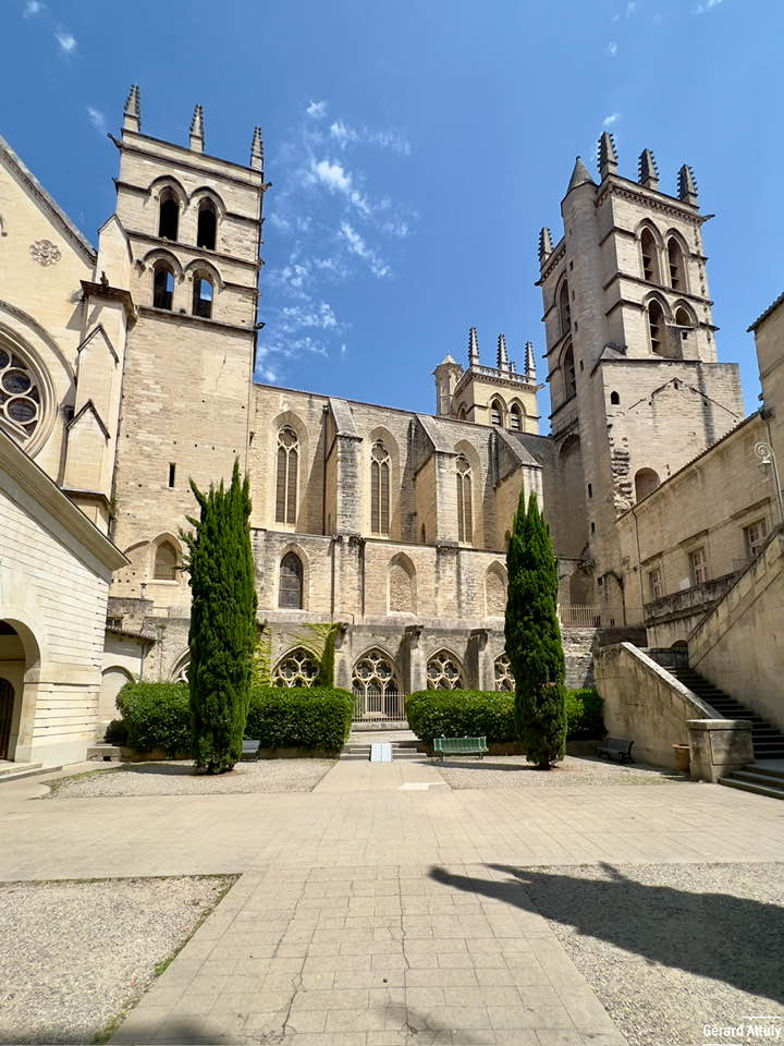 Cathédrale Saint Pierre Montpellier, Visite Montpellier, Guide Montpellier, Guide Conférencier Montpellier