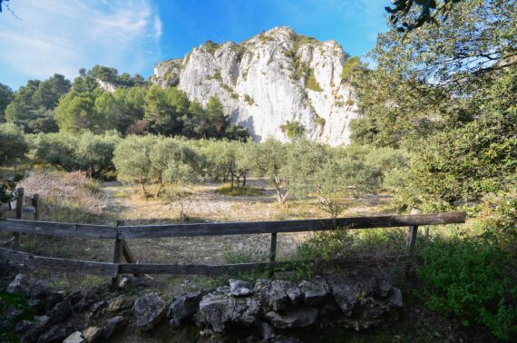 Guide Cheval Blanc, Visiter Luberon, Guide Luberon