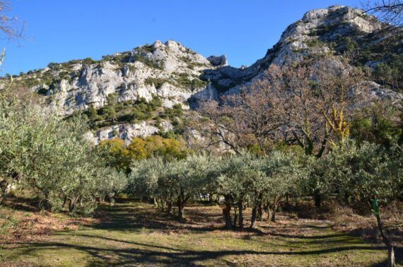 Visite de Cheval Blanc, Guide Lubéron, Visiter Lubéron