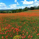 Guide Lurs, Visiter Lurs, Visite Luberon, Guide Luberon