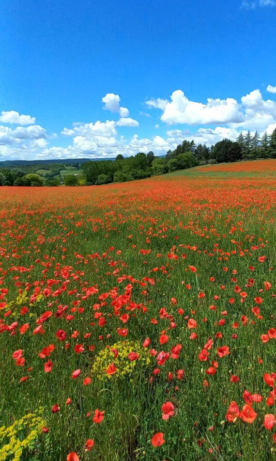 Guide Lurs, Visiter Lurs, Visite Luberon, Guide Luberon